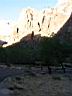 017_zion.jpg